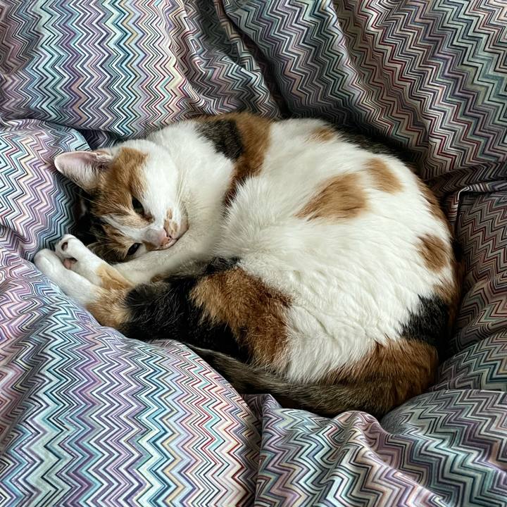 C669b1e9 8560 4aff b43a 87752b4186d8 1704672424717