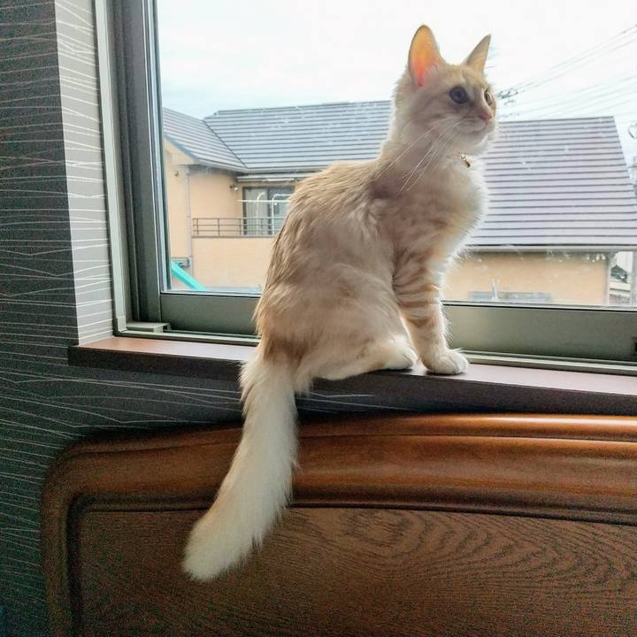 C66a01ec f7e8 4439 bcf3 3d3090f05c46 1610844141392