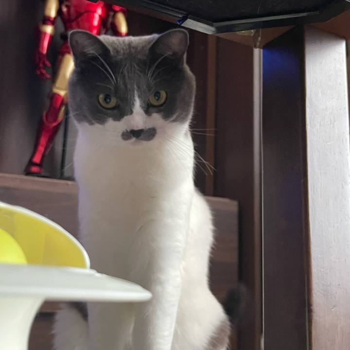 C66a1900 0924 44f4 9ae2 41c3ab91a263 1659359320180