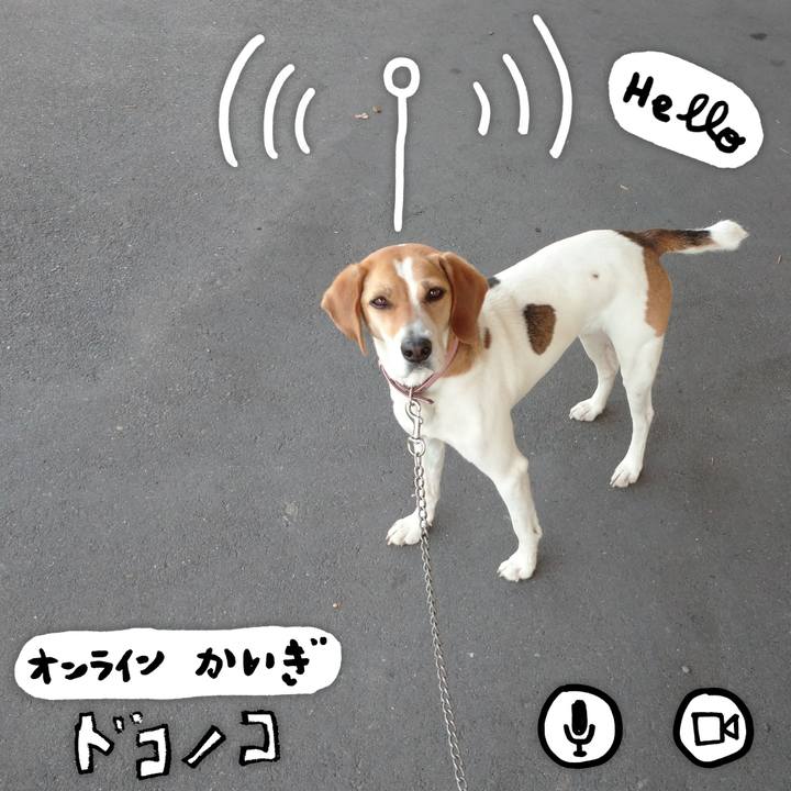 C66a2b49 5834 46b7 8690 bf33dc57e233 1592626444227