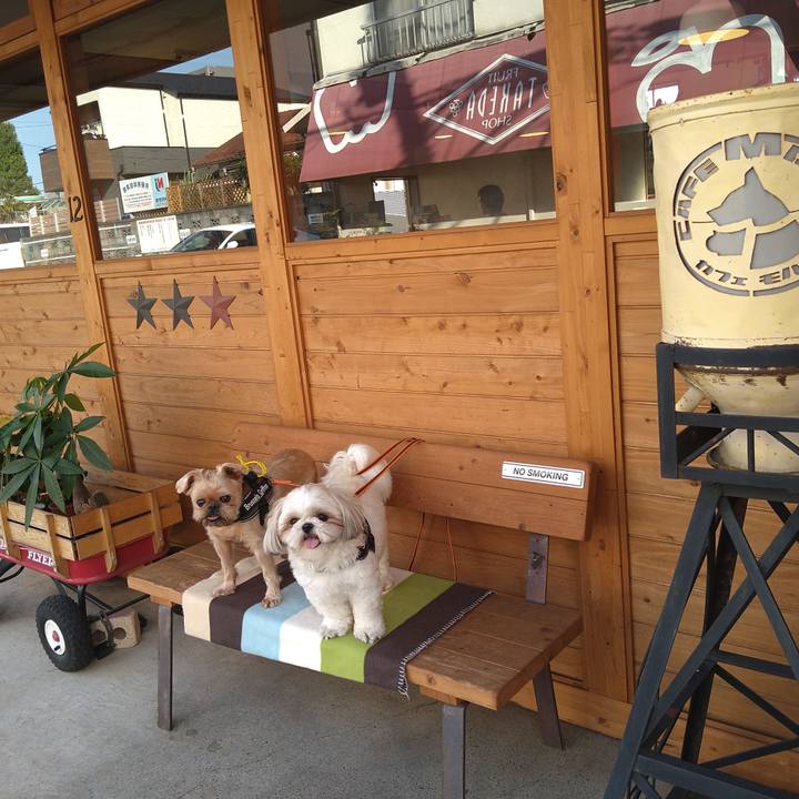 C66a371e a332 4c25 a86b 7ab6692a659b 1633258436338