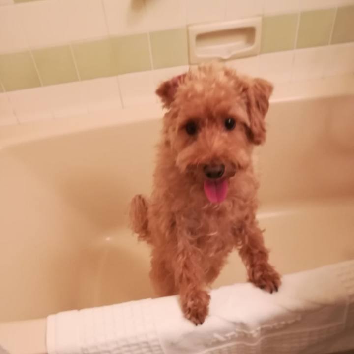 C66a3a2f 2705 417d 8dc8 7c310e678454 1539495537349