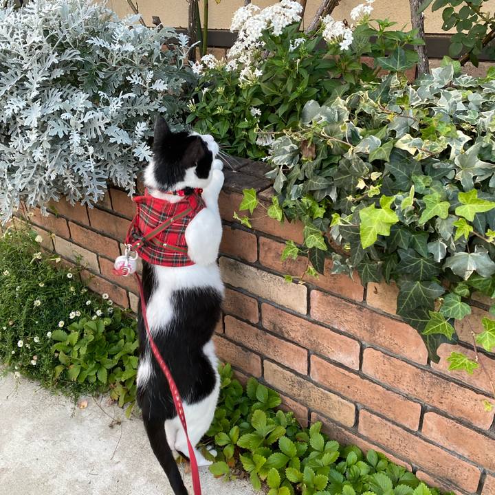 C66a64cb 4a38 4cb2 9e13 67c474b67277 1635724271259