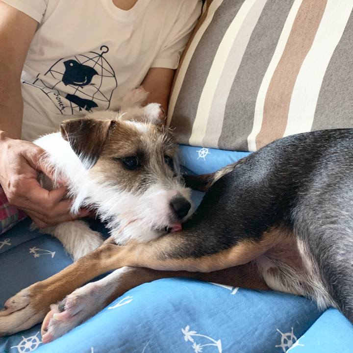 C66a72f4 c94f 4cea beea b099a48fd457 1566113335875