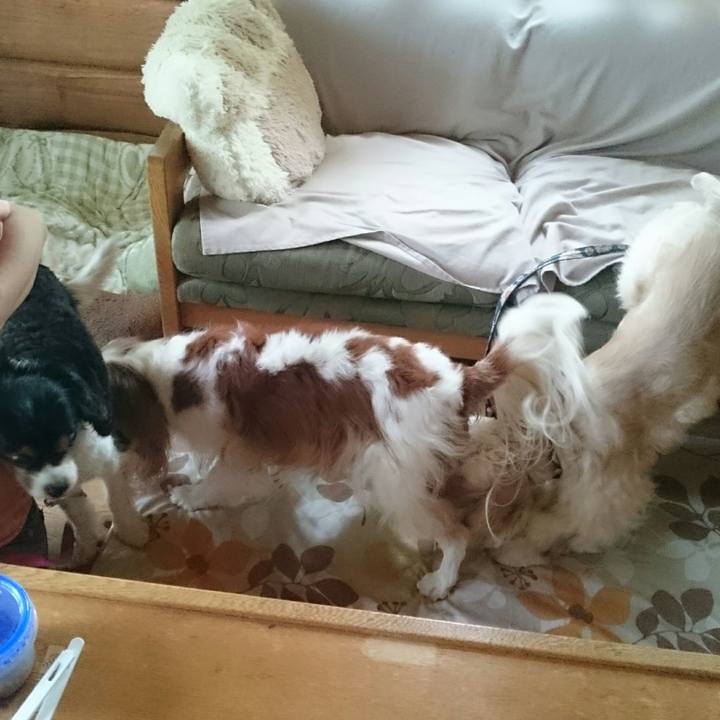 C66ab3d8 55a8 4775 8a16 ad5e26a0bbdf 1567339859905