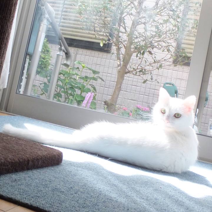 C66adad3 e095 4d69 9fce cc7e70c9a51b 1631089891102