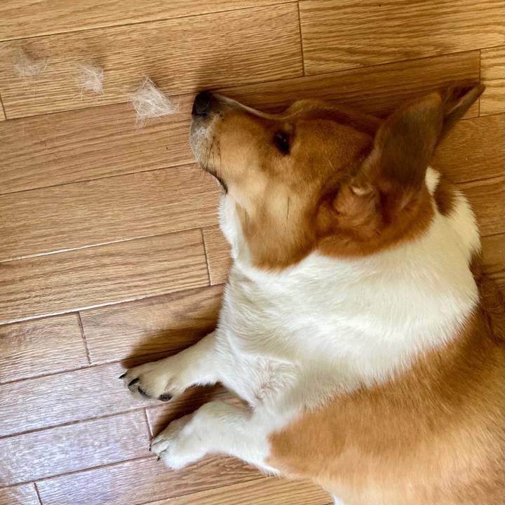 C66af534 3012 4f26 97b2 2883b7cfdc1f 1659363164923