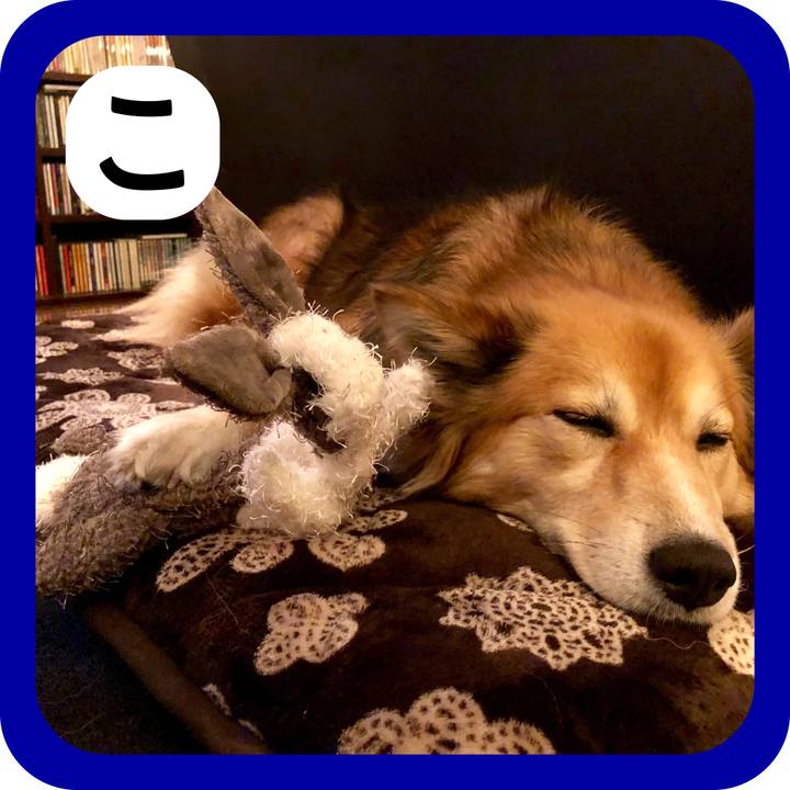 C66afb1c 4890 4918 b5bc 45509f667775 1514780451409