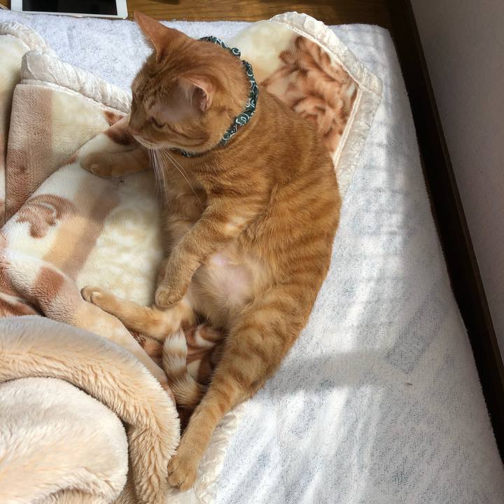 C66b1e84 3c66 4ca0 8882 826e6db4cc69 1555712082282