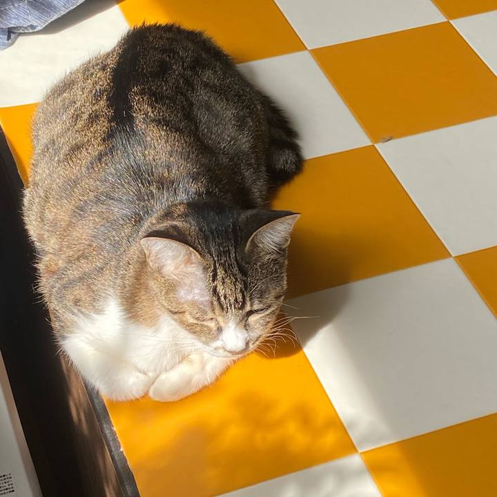 C66b7083 4348 451c b063 6b490c660f97 1695516253536