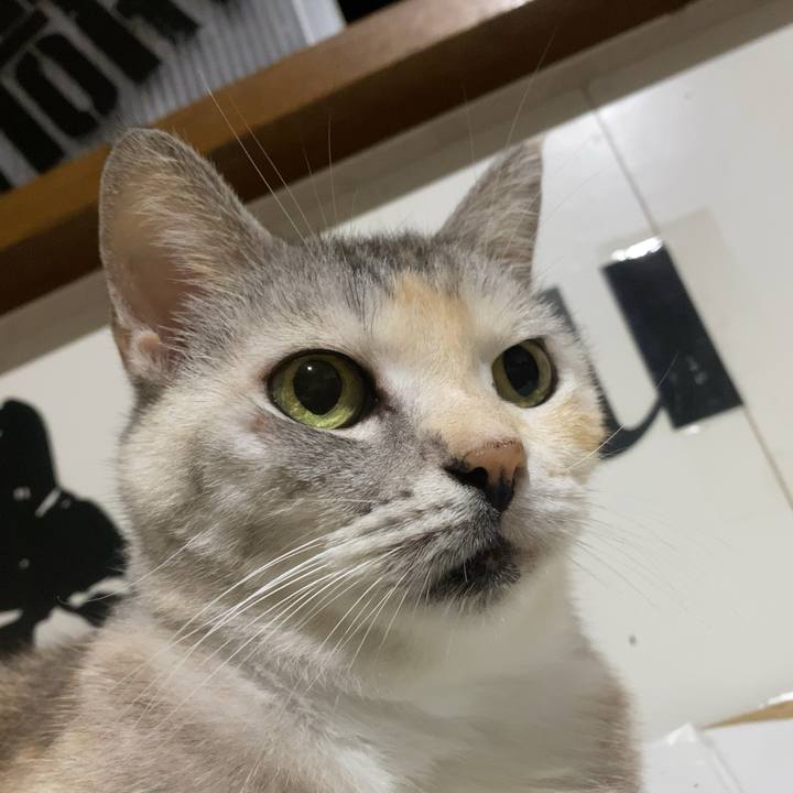 C66b78f1 ef24 4796 8fac 286a1fbd2aad 1759308087534