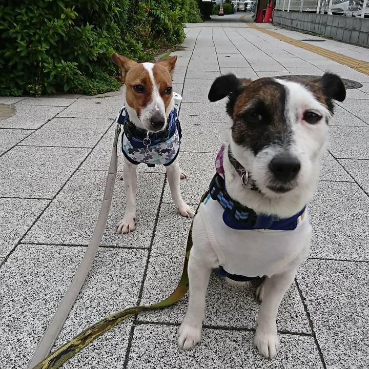 C66b7dd2 d165 4c2d bee8 9e4f6938b3b1 1527546268814