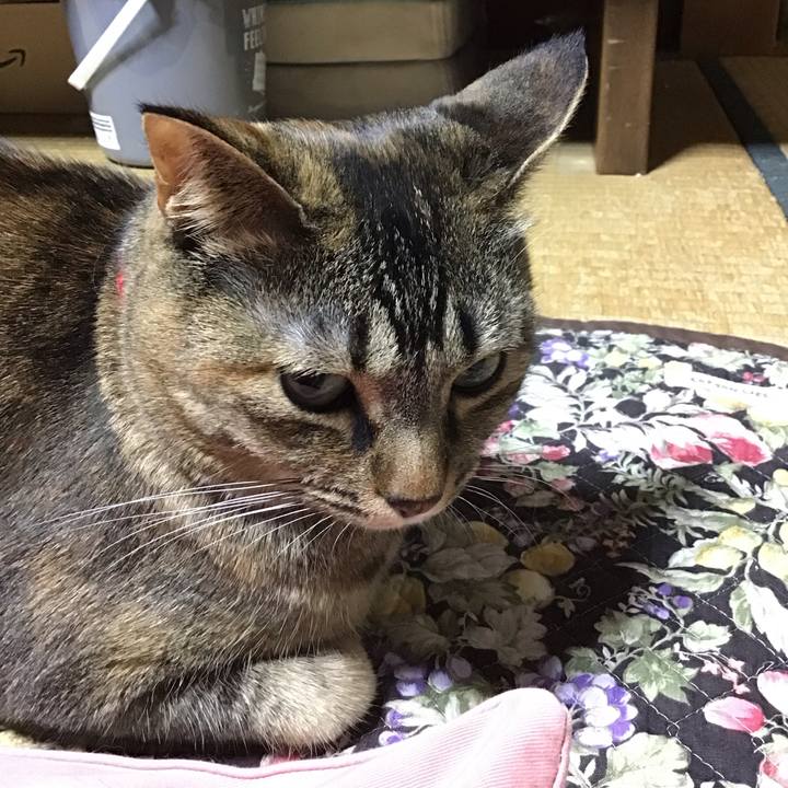 C66b7fe5 9f88 4b6d 8bc2 f12c7e758a04 1679577764060