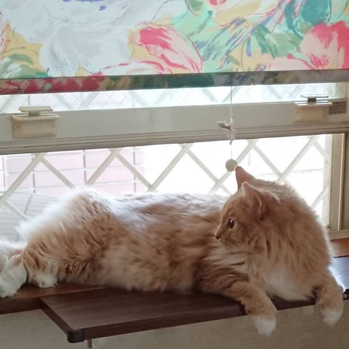 C66b9747 2824 4037 b342 a27cdd7374e8 1531372268103