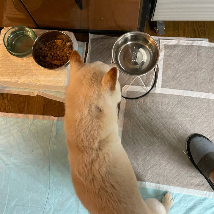 C66bafc6 2ef0 4ae9 8954 49cb91bec193 1634180912958