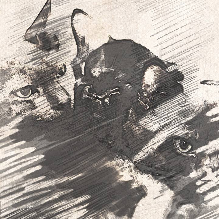 C66bf6bd 5ee2 406e b463 3a983d9bce80 1510311132527