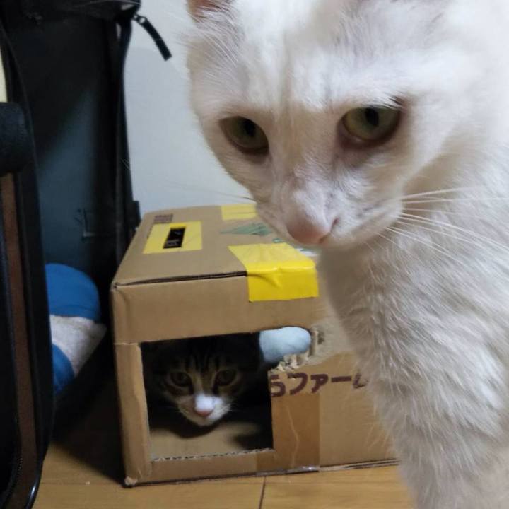 C66c219c aec9 4289 a812 45f388d02d4c 1632702621131