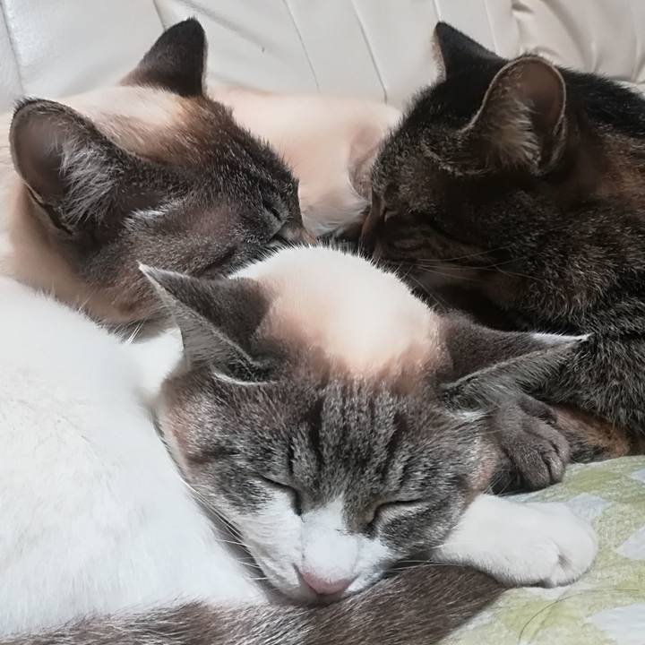 C66c470f 9e79 4da3 9b9e 51468947cc87 1519554879942