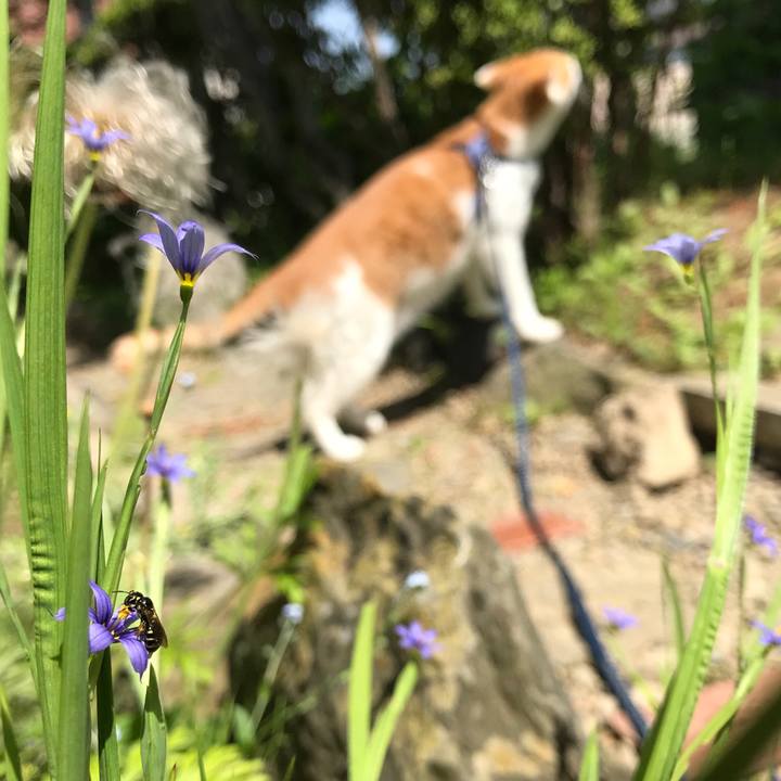 C66c88d6 3242 428f acaf d54cf59ade42 1527224994877