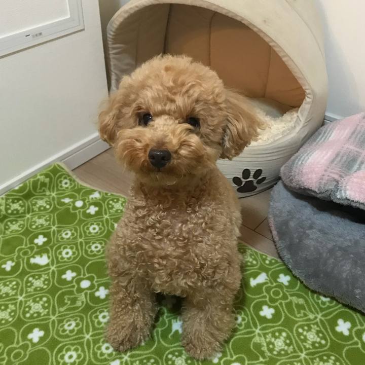 C66d43f3 9fd9 4cd6 9fdd fdf095d7b4e5 1519378464313