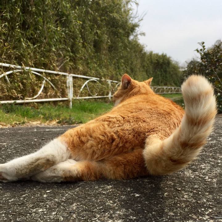 C66d674e 0a17 4ad0 8488 95031a08b327 1552719141485