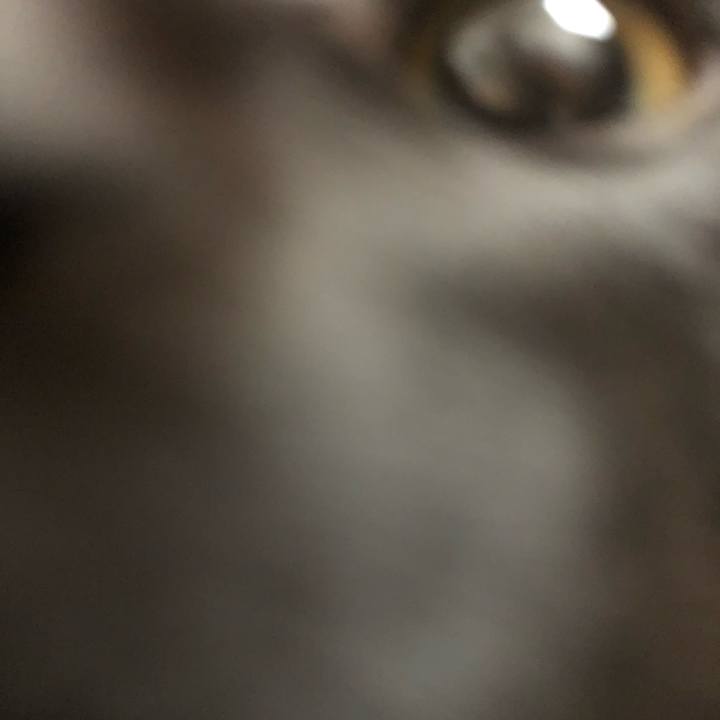 C66d8207 8d55 4d78 bf0c 6811114904ef 1587954236096