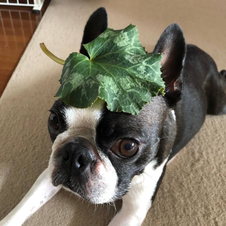 C66d8563 dbbc 4210 878e b6b21373eade 1692064982935