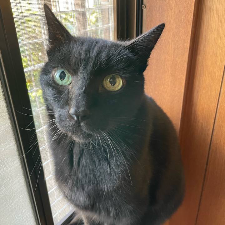 C66dd833 ebc8 4719 ba81 d1baa2299cfe 1639015565881