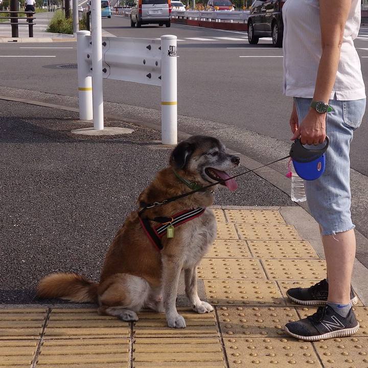 C66deba2 f9ed 4d7d 80fc d1634bbfc05d 1677202377529