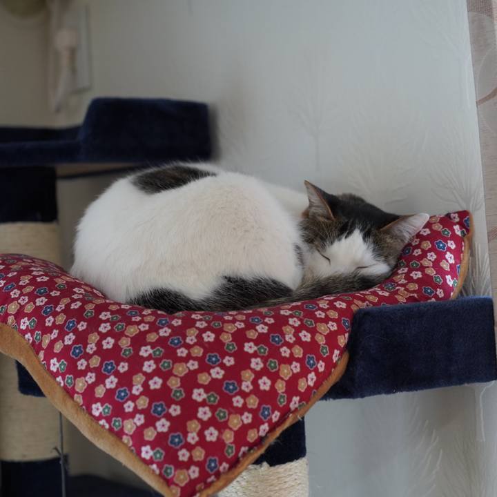 C66e5180 5729 4bf3 b9ff ad9f1c711dc4 1582336753096