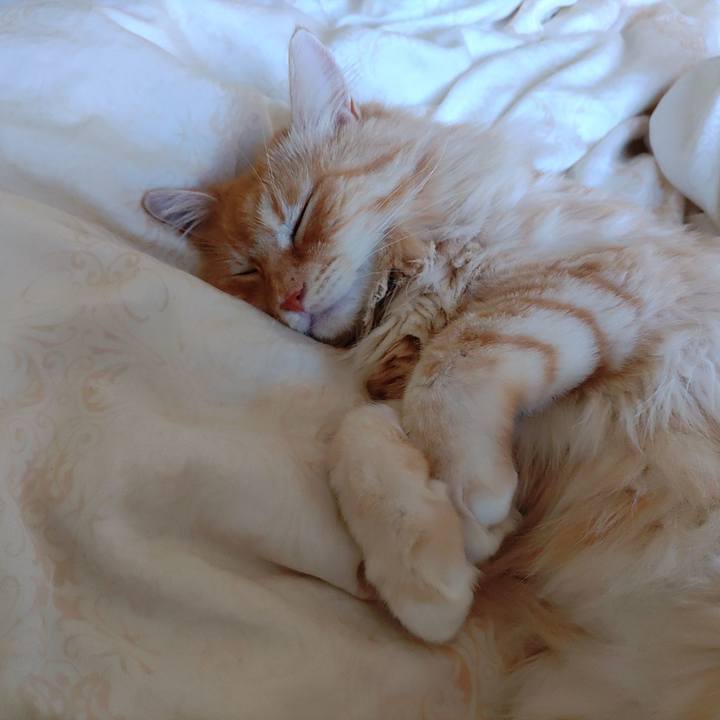 C66e744d 6206 4efc a46e 656275361e66 1659234866963