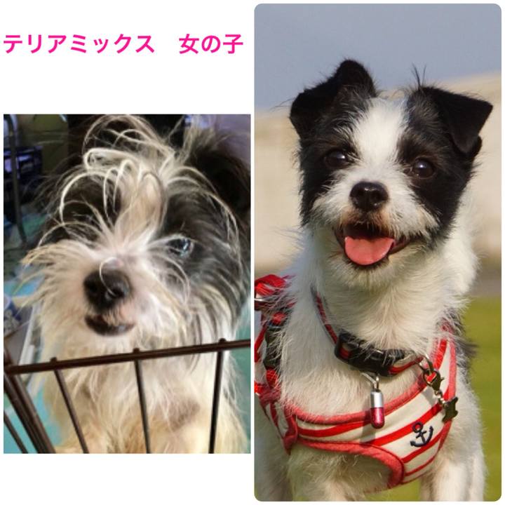 C66e7e17 5d41 4591 8dc8 9b7eba56319e 1537957260160