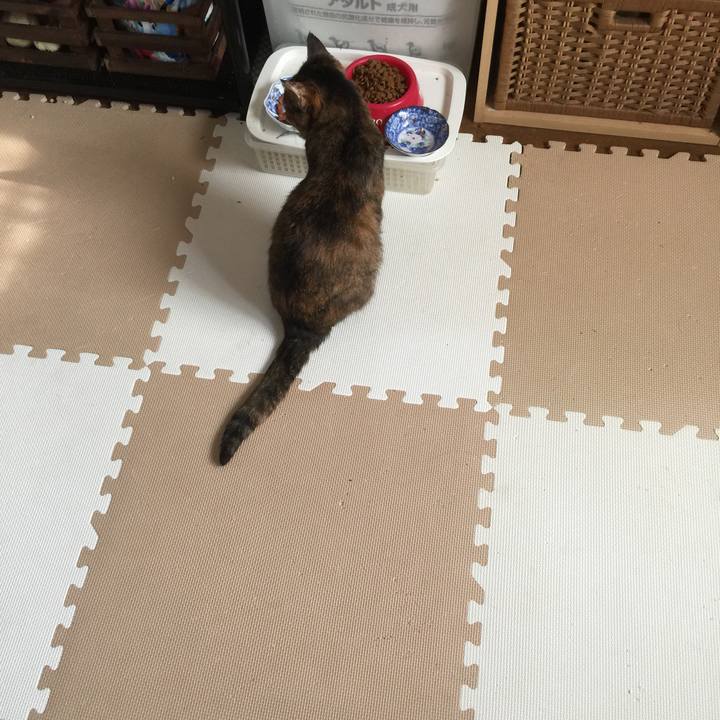 C66e8ed8 3954 42be 9a54 edad07584b34 1523486930083