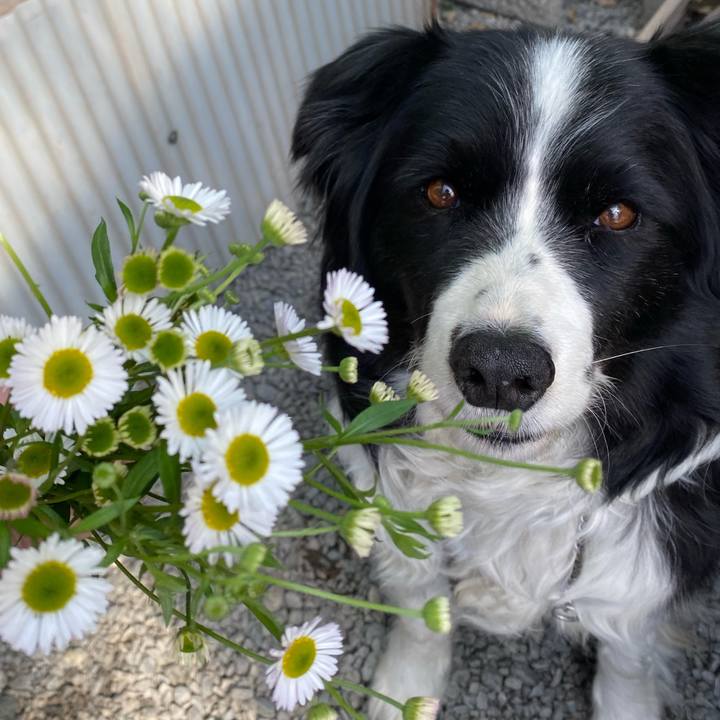 C66ebdc9 5b2a 4545 9b2f 276ad6cce0bc 1617671451127