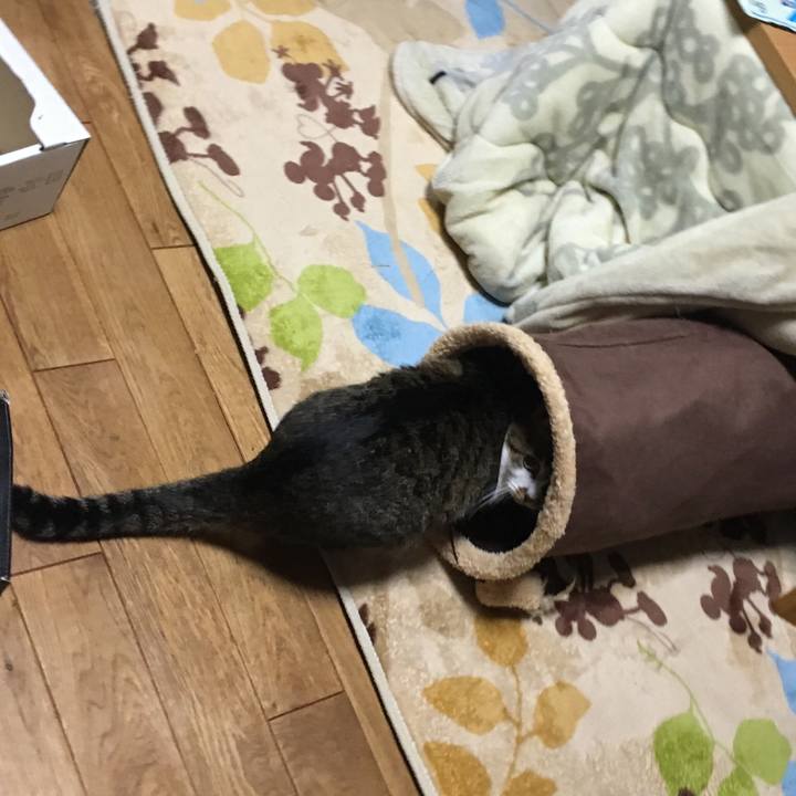 C66ecd2c c63a 4b52 a62e 46bce10ae969 1514212387784