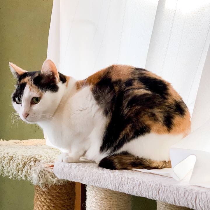 C66ed364 9fac 4917 80d9 0f9586fd4b00 1546481073112