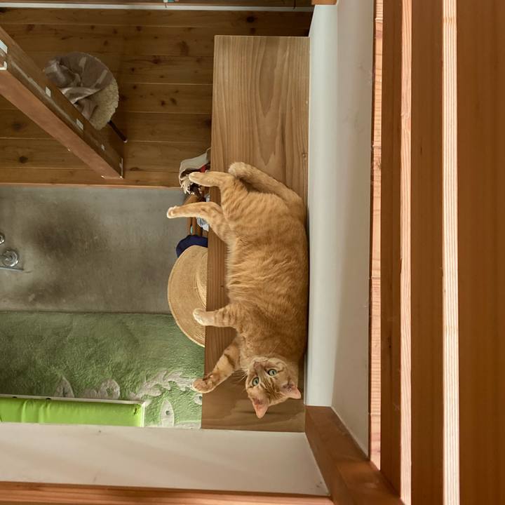 C66f0665 b08a 4dd0 a01c 480a26e1627d 1724848937129