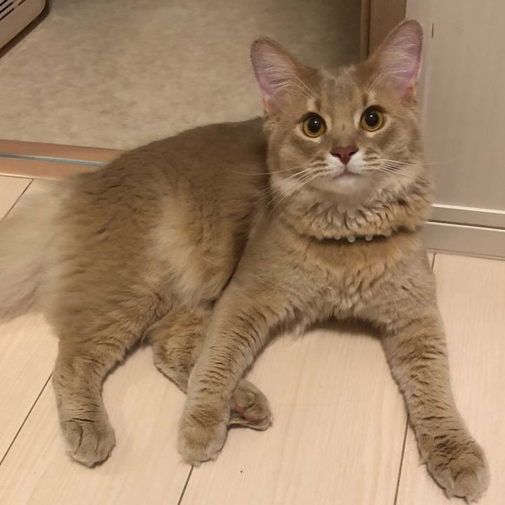 C66f17db ed5a 4d70 bde5 c8e7fdcca95d 1557665119947