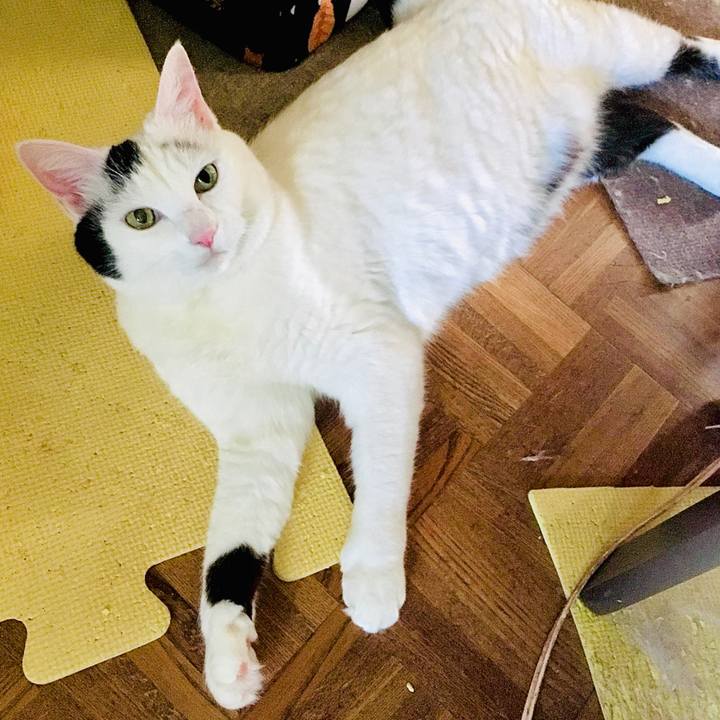 C66f68ba 266a 4891 8e51 43c9ca7039a2 1579582024826