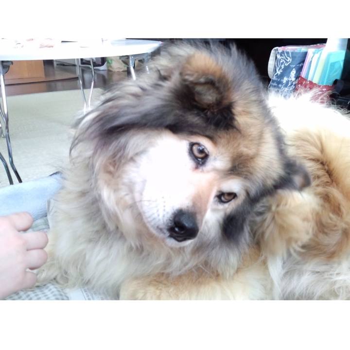 C66f7144 7b24 44c9 b799 8e6d278f44ed 1562695181470