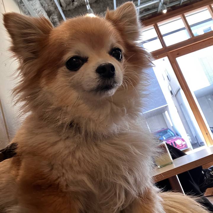 C66fb88b 504f 4040 8859 cc341c4caac9 1771469828963