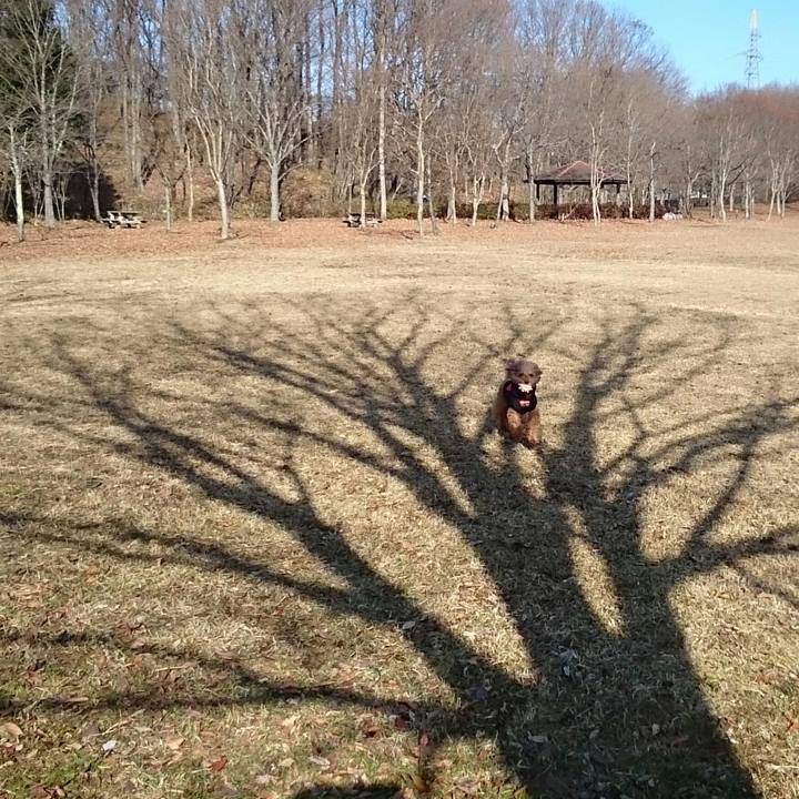 C66fe599 529e 4902 bcad da3195b0792c 1516103631096