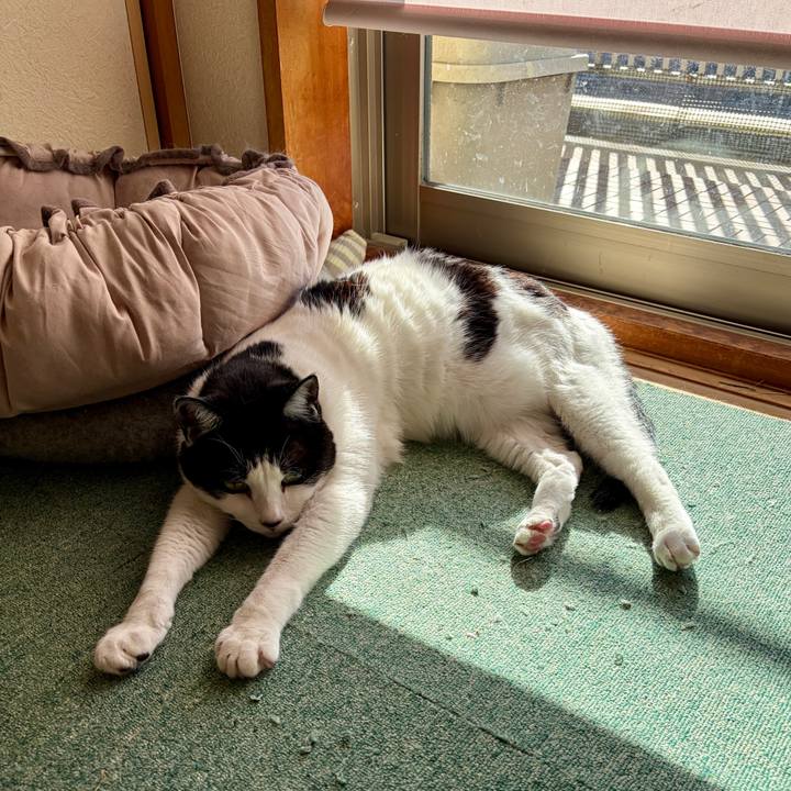 C66feb32 e91d 41b6 8e53 d88b27c3bdd7 1766987216583