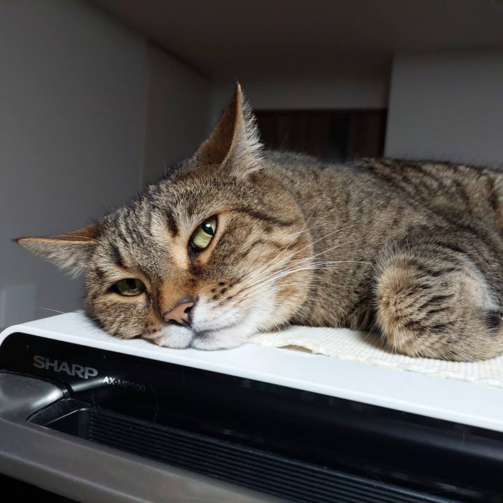 C6702073 9df8 4c78 8a93 466d7b1ce74c 1624886977284