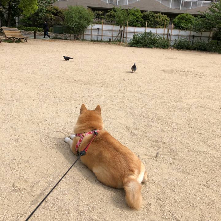 C67055f2 85c2 4a70 851d af4f5a6de168 1556599513492