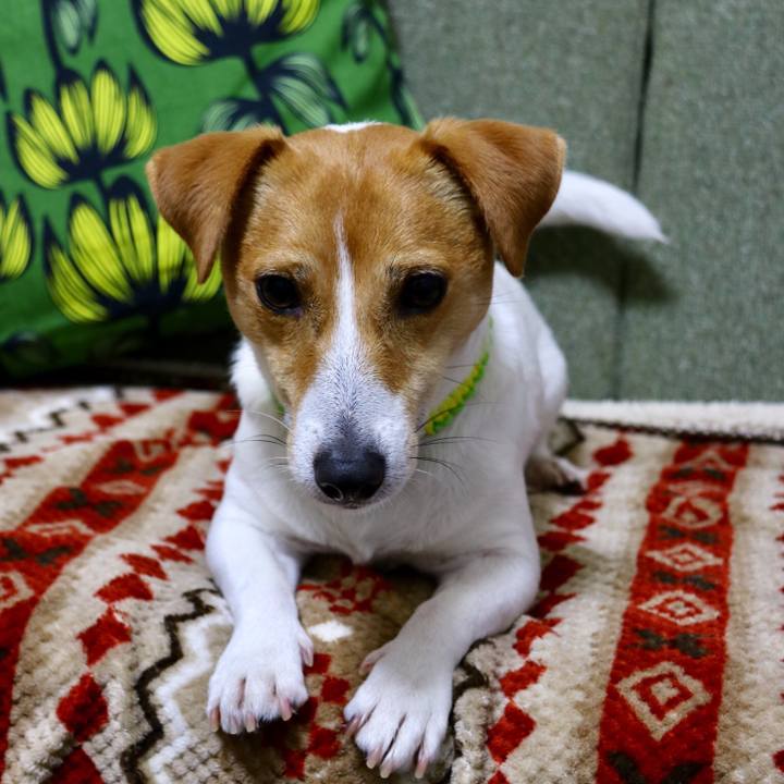 C670718a 98d3 4db3 a1aa 26ff3e198298 1554893062388