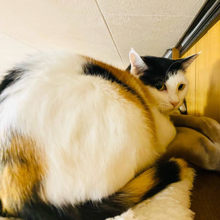 C670873a 2ceb 4a95 8396 76a330ee479e 1673302290561