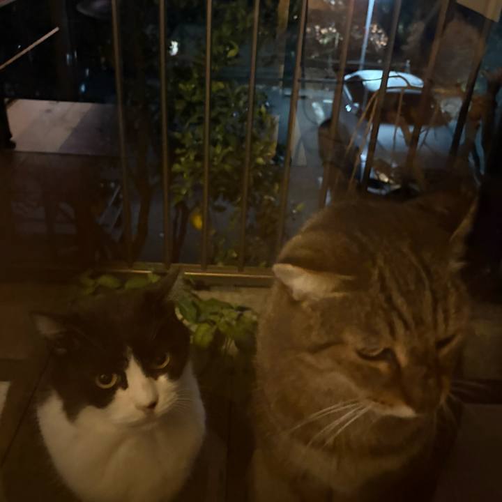 C670e495 fc23 48e6 a8a7 eba9cae123a4 1764670712788