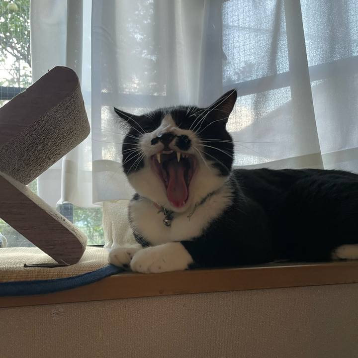 C6713f74 c4c8 4ab5 afd8 ea651bf9994f 1696197593761