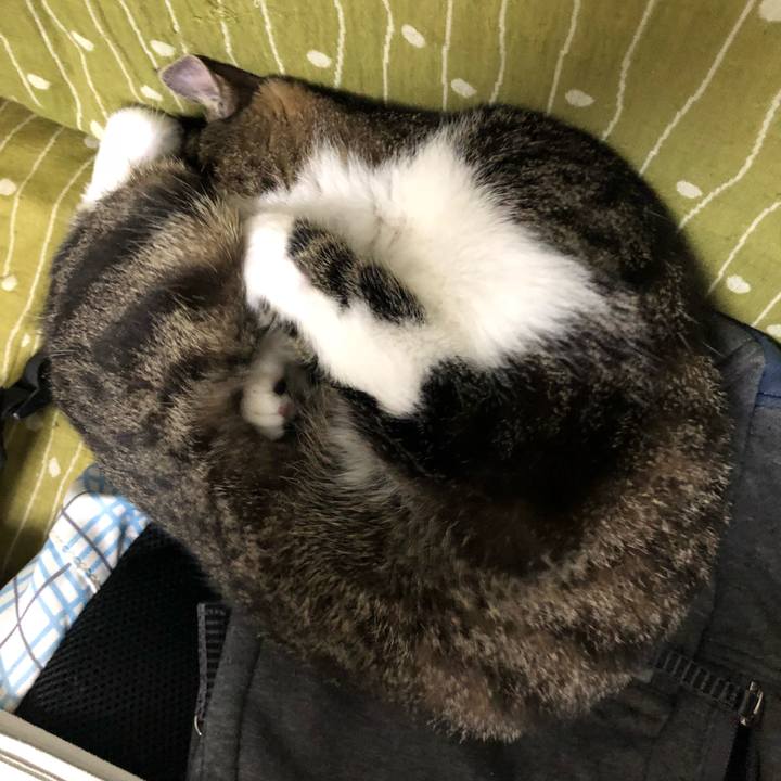 C6715ce8 e4b9 4369 8a7b 502871600148 1526243176067